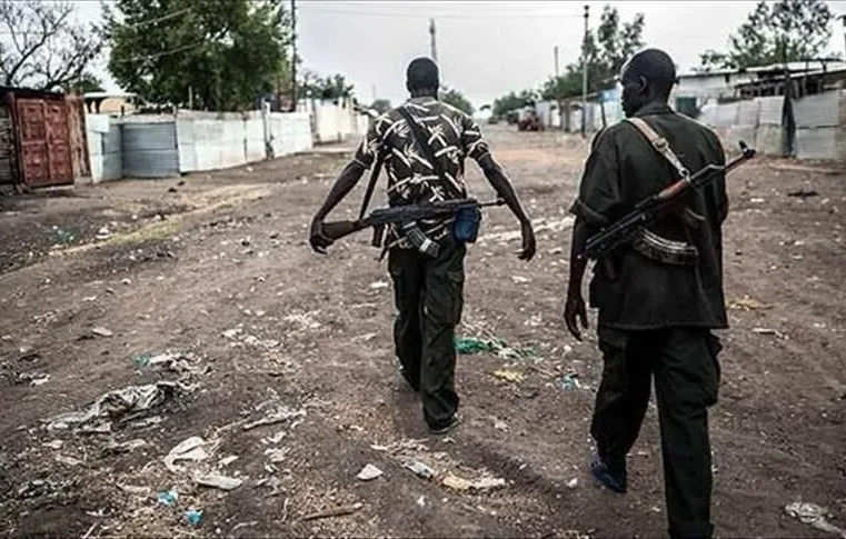 Huit morts dans une attaque de boko haram dans le nord du Cameroun