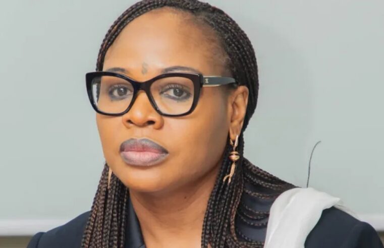 Ministre béninoise Awaou baco rencontre les acteurs économiques du nord