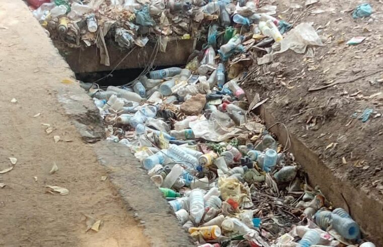 Tchad : transformer les déchets plastiques en levier économique et écologique
