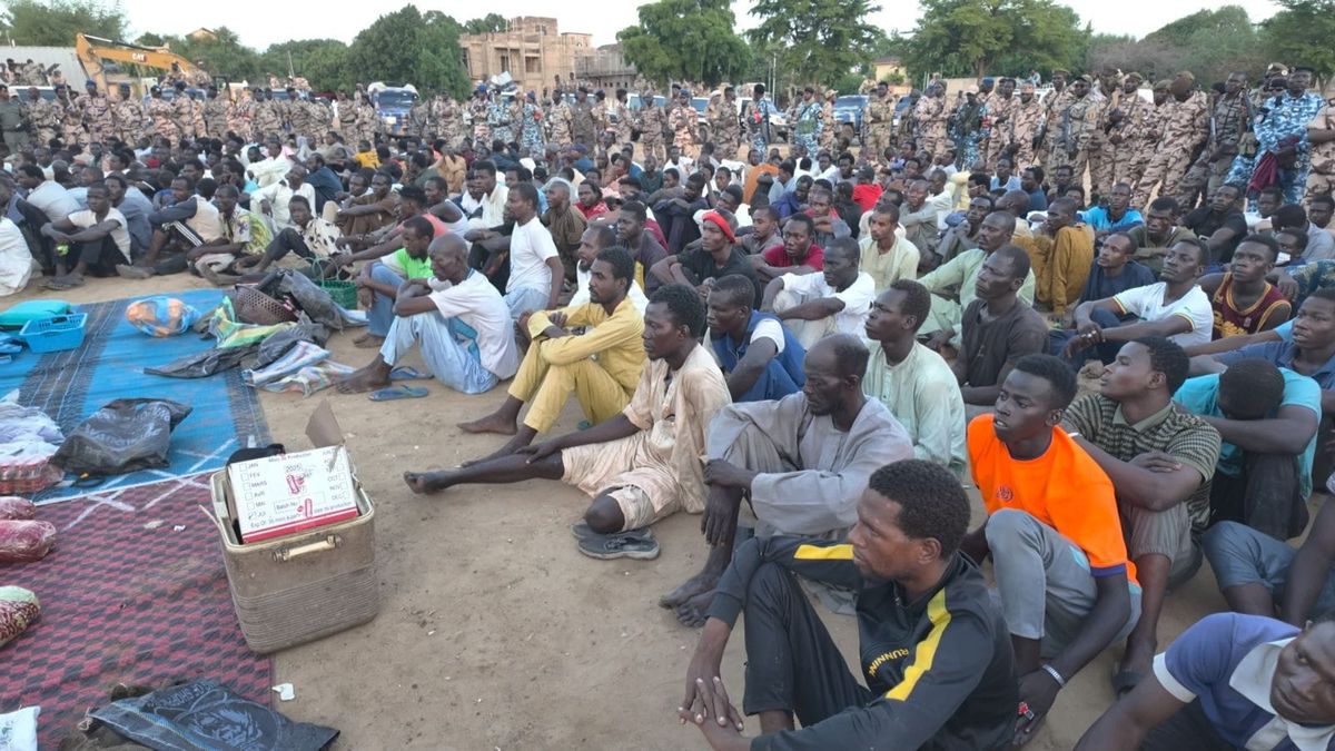 Opération policière à N'Djamena : 252 arrestations et saisies de produits illicites