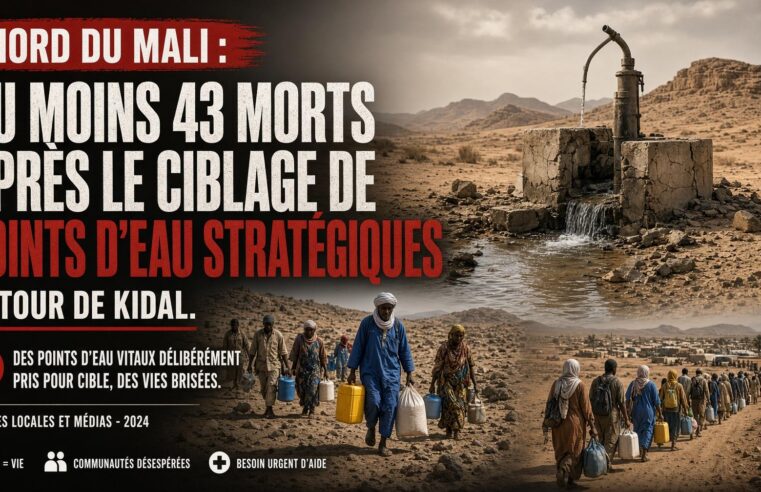 Pourquoi le ciblage des puits autour de Kidal a-t-il fait au moins 43 morts dans le nord du Mali ?