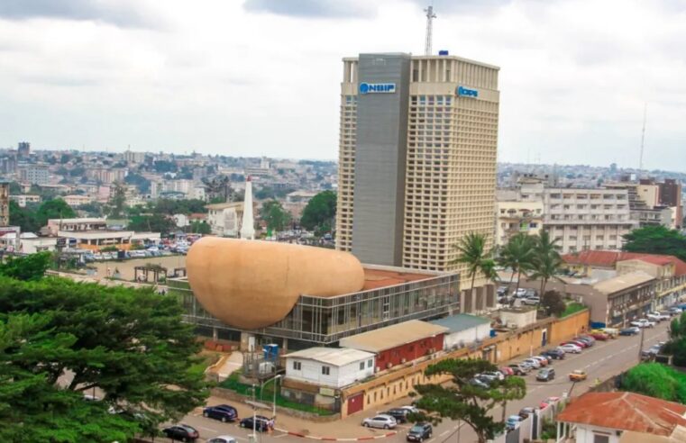 Micro-assurance : Samb&rsquo;a Finances Holding vise le Cameroun
